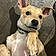 Rocko