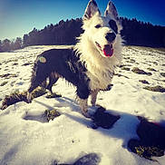 Neuf participe au concours pour gagner de l'argent avec cette photo :