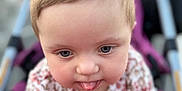 Paisley joined the competition — help win amazing prizes! baby, child, toddler, pink_bows, tongue_out, stroller, blue_eyes, close_up, cute, playful, hair_bows, floral_clothing, infant, person, portrait, young_child, soft_focus, outdoor, baby_girl, expression