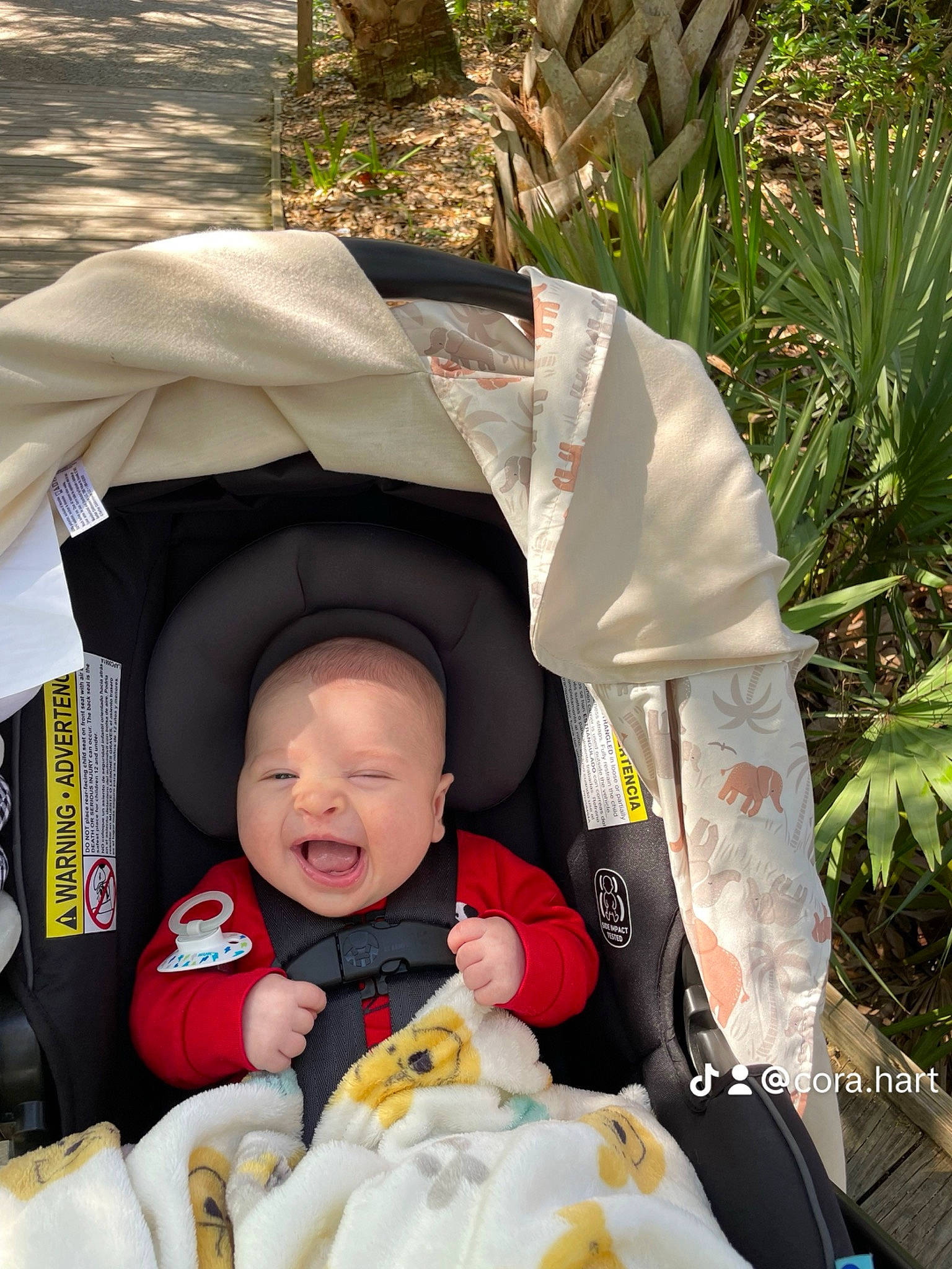 Enzo is registered to the contest to win money with this photo: baby, baby_carriage, baby_products, baby_toddler_clothing, cheek, child, comfort, event, facial_expression, fun, grass, happy, head, people_in_nature, person, plant, recreation, sitting, skin, toddler