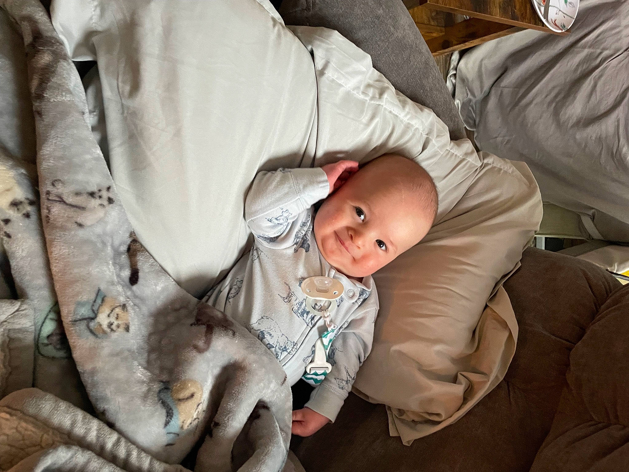 Enzo is registered to the contest to win money with this photo: baby, baby_carriage, baby_products, baby_safety, baby_toddler_clothing, child, comfort, fur, linens, mechanical_fan, pattern, person, room, sitting, smile, toddler, tree, wood