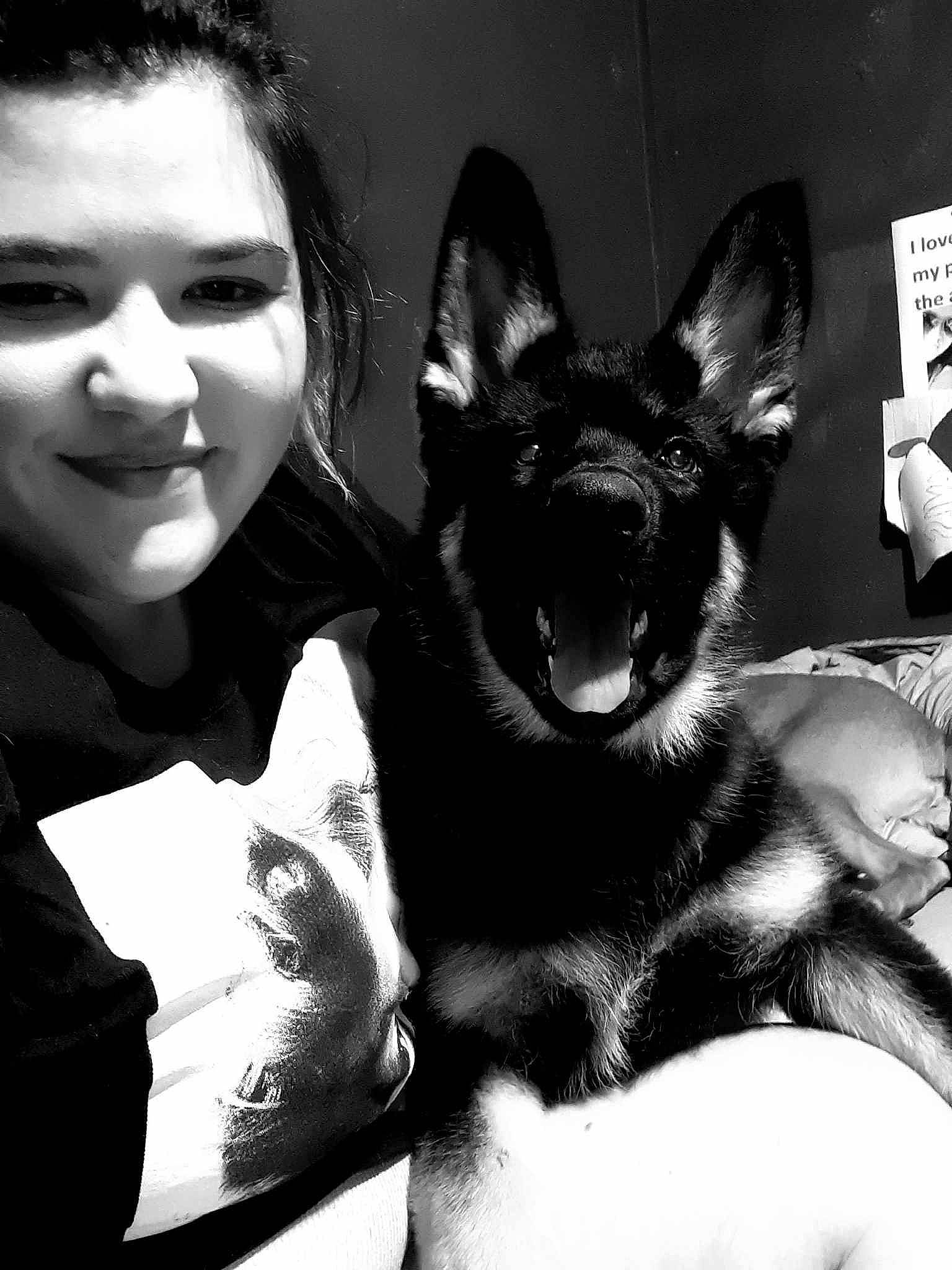 Rufus Lee joined the competition — help win amazing prizes! black, black_and_white, carnivore, companion_dog, cool, dog, dog_breed, ear, eye, flash_photography, gesture, happy, head, jaw, monochrome, organ, smile, snout, style, whiskers