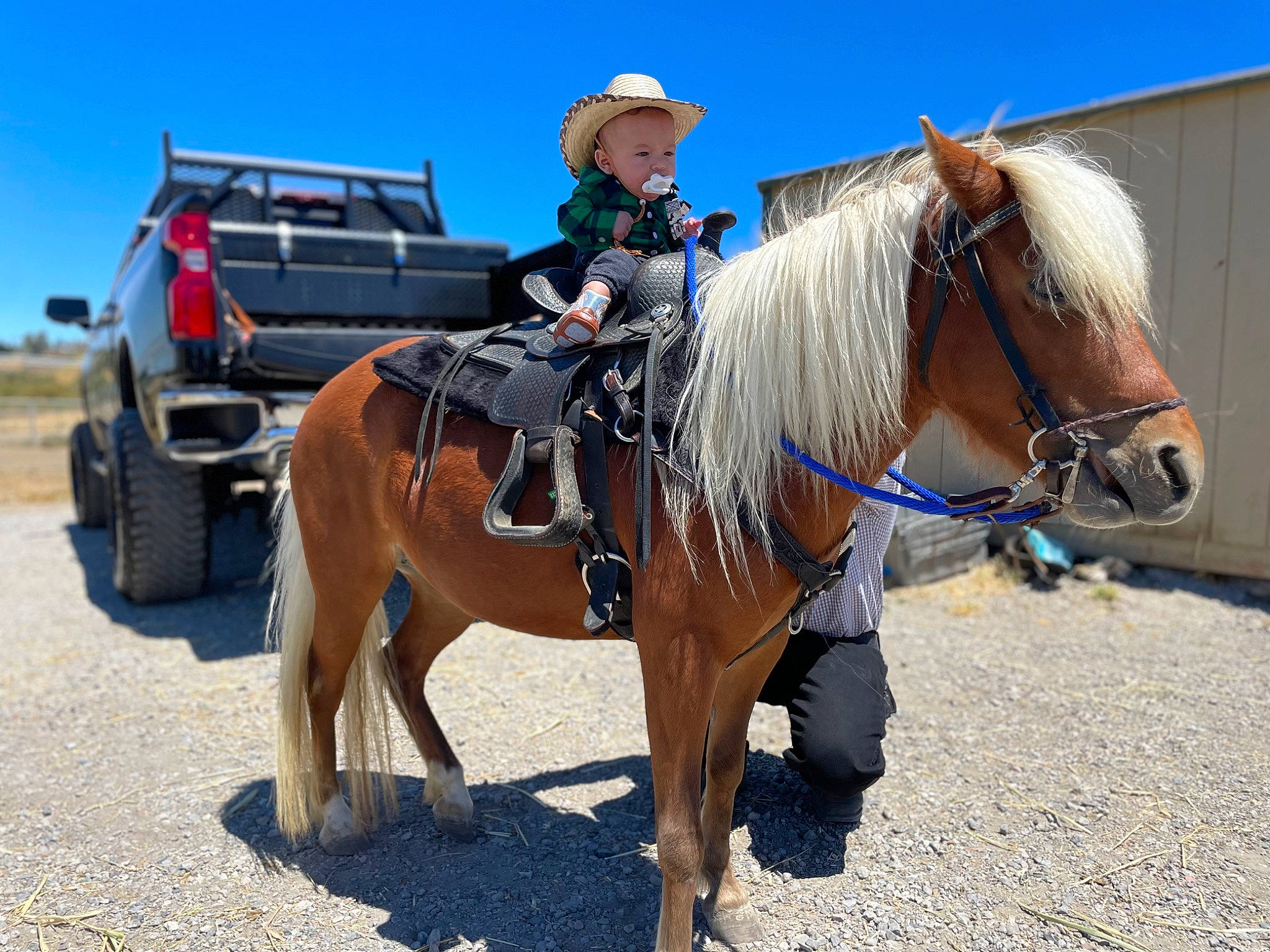 Tomás is registered to the contest to win money with this photo: bit, bridle, halter, hat, headgear, horse, horse_supplies, horse_tack, landscape, livestock, mane, pack_animal, person, rein, saddle, sky, sun_hat, tire, vehicle, wheel