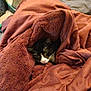 cat, blanket, bed, sleeping, cozy, fur, pet, indoor, resting, black_and_white, soft, warm, comfort, fur_texture, animal, nap, cute, relaxation, home, wrapped