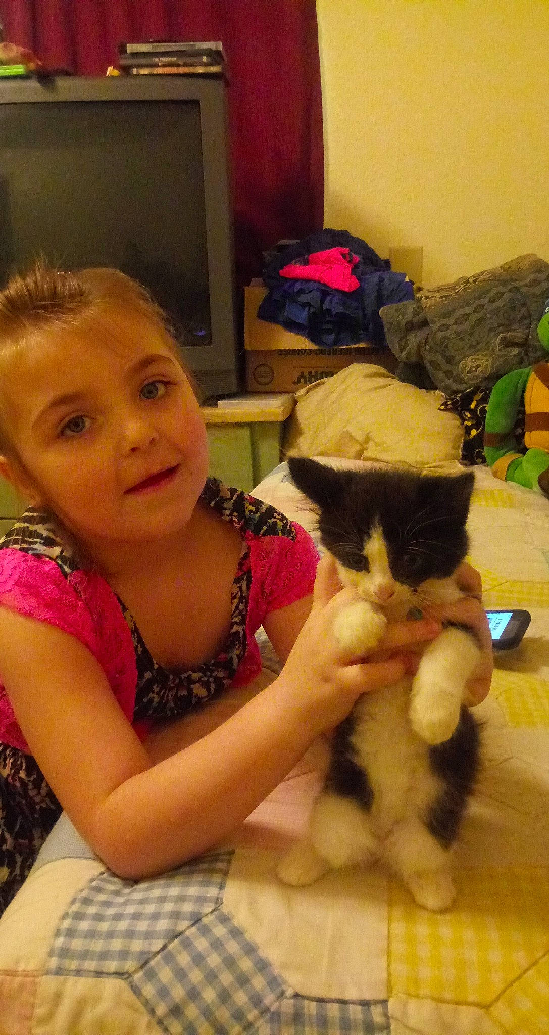 Abbie is registered to the contest to win money with this photo: american_curl, carnivore, cat, child, ear, eye, fawn, felidae, iris, kitten, nose, person, play, skin, small_to_medium_sized_cats, toddler, whiskers