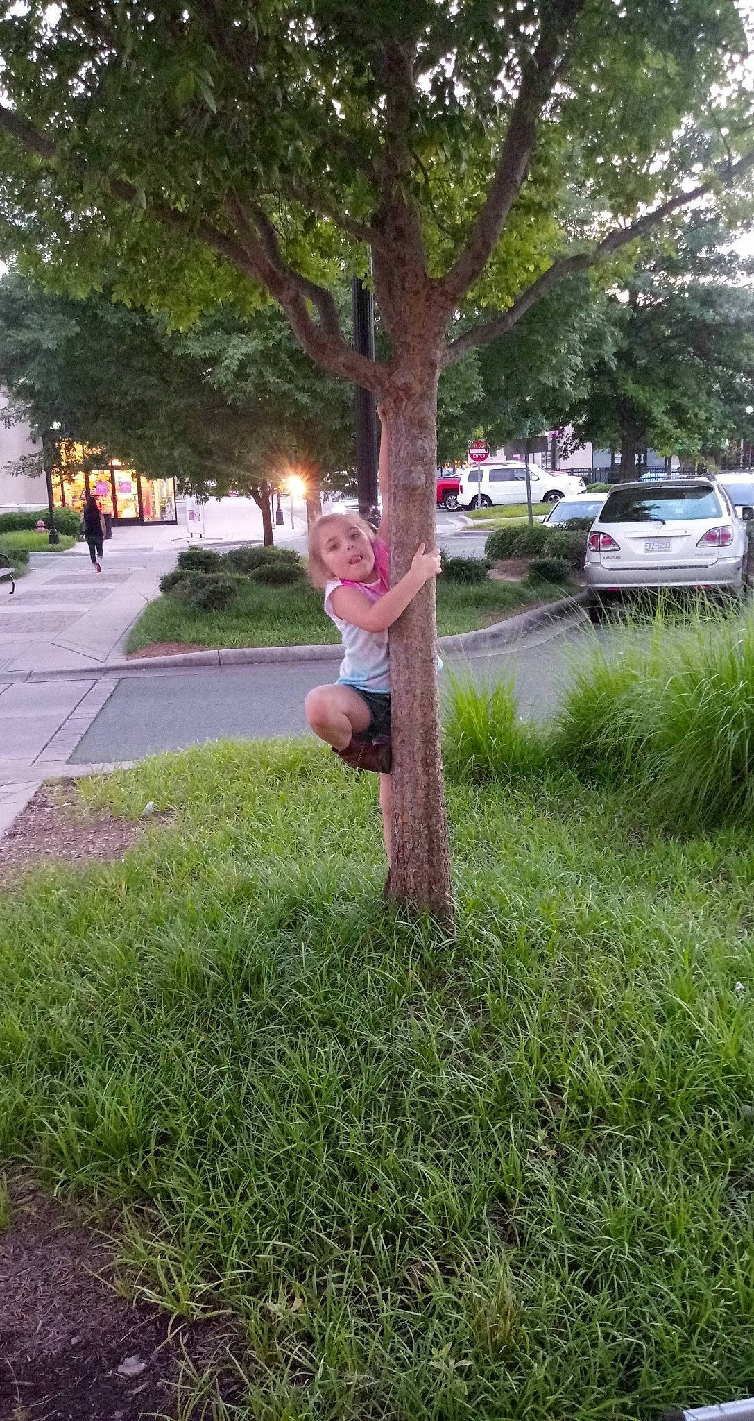 Abbie joined the competition — help win amazing prizes! branch, car, compact_car, grass, grass_family, lawn, person, plant, public_space, road, sidewalk, tree, trunk, walking, woody_plant