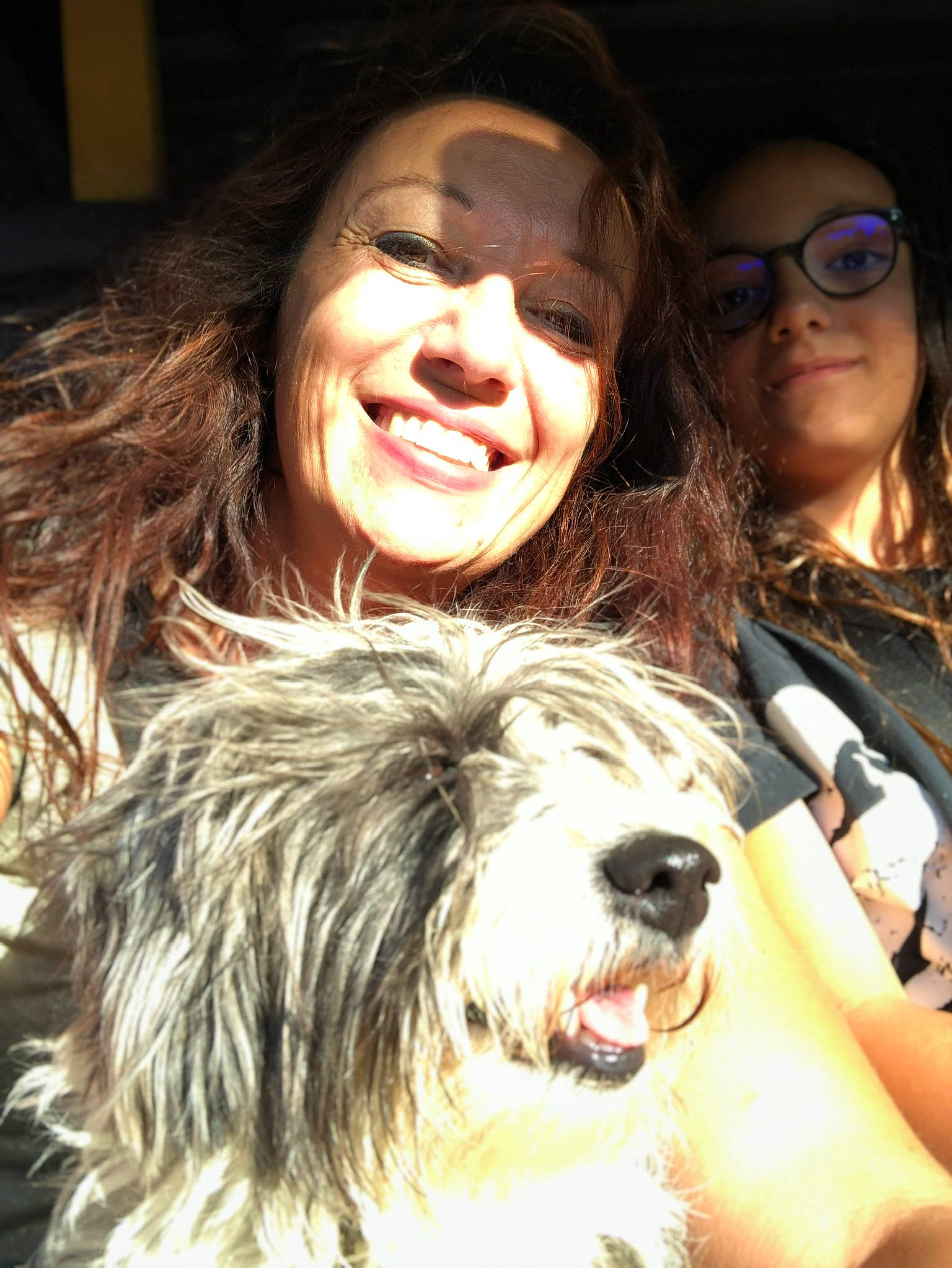 Kirito a rejoint le concours — aidez-le/la à gagner de superbes lots ! carnivore, companion_dog, dog, dog_breed, event, eyewear, fun, fur, glasses, goggles, hair, happy, laugh, schapendoes, small_terrier, smile, sunglasses, terrier, toy_dog, vision_care