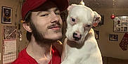Blaze is registered to the contest to win money with this photo: man, dog, white_dog, red_cap, red_shirt, indoor, living_room, holiday_decorations, christmas_ornaments, stocking, beard, chain_necklace, calendar, couch, blanket, picture_frames, pet, holding, smile, casual_clothing