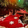 cat, cats, christmas_tree, tree_skirt, snowflake_pattern, indoor, holiday_lights, carpet, wooden_cabinet, feline, pet, decor, festive, cozy, relaxed, fur, whiskers, ears, eyes, holiday