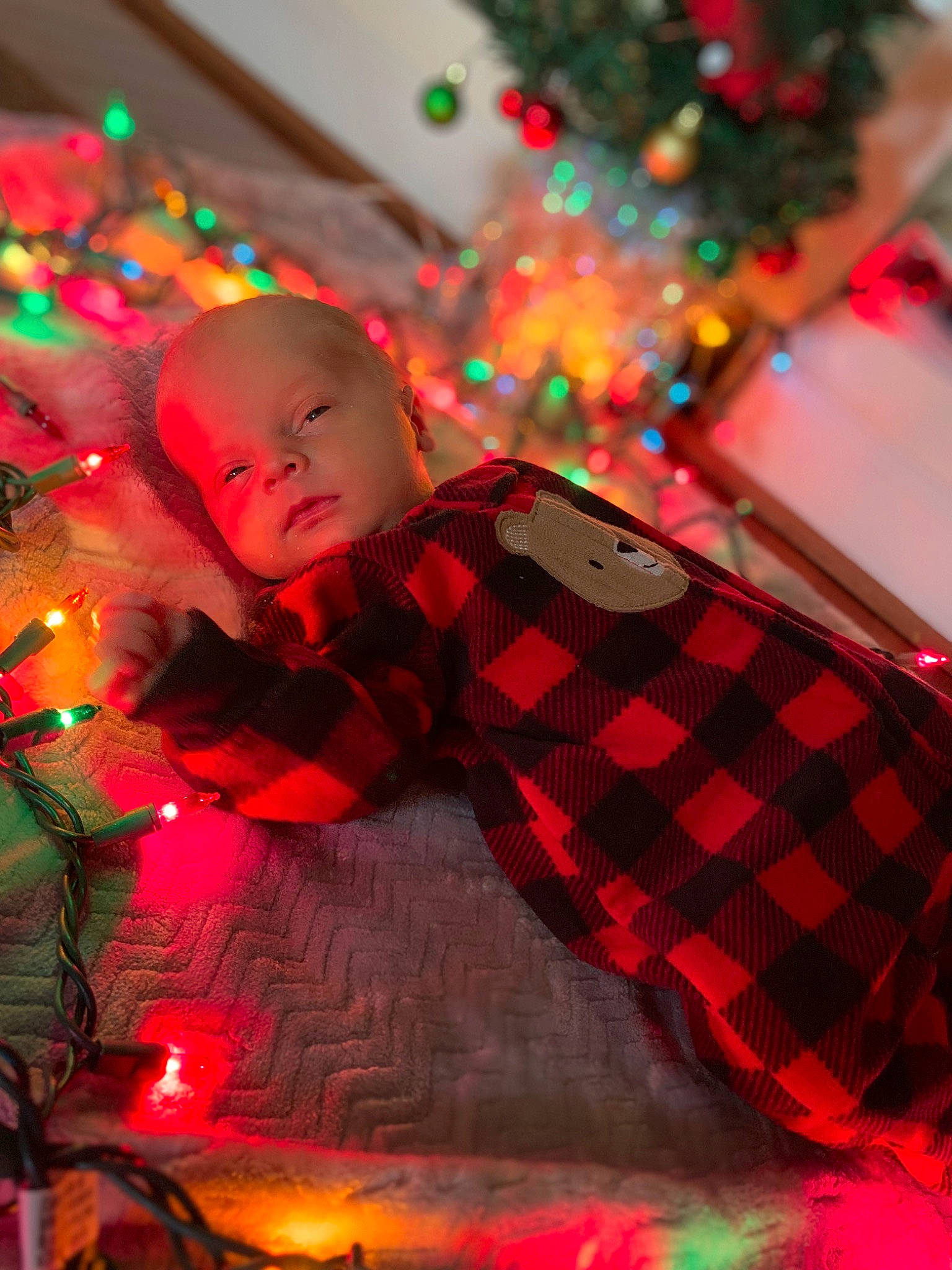 Brenton is registered to the contest to win money with this photo: baby, child, christmas, christmas_decoration, christmas_eve, christmas_ornament, christmas_tree, event, facial_expression, fun, green, happy, holiday, light, ornament, person, plant, red, toddler, tradition