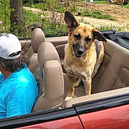 Marcy is registered to the contest to win money with this photo: animal, beige_seats, blue_shirt, cap, car_interior, casual, convertible_car, daytime, dirt_road, dog, german_shepherd, leisure, man, nature, outdoor, person, pet, transportation, trees, vehicle