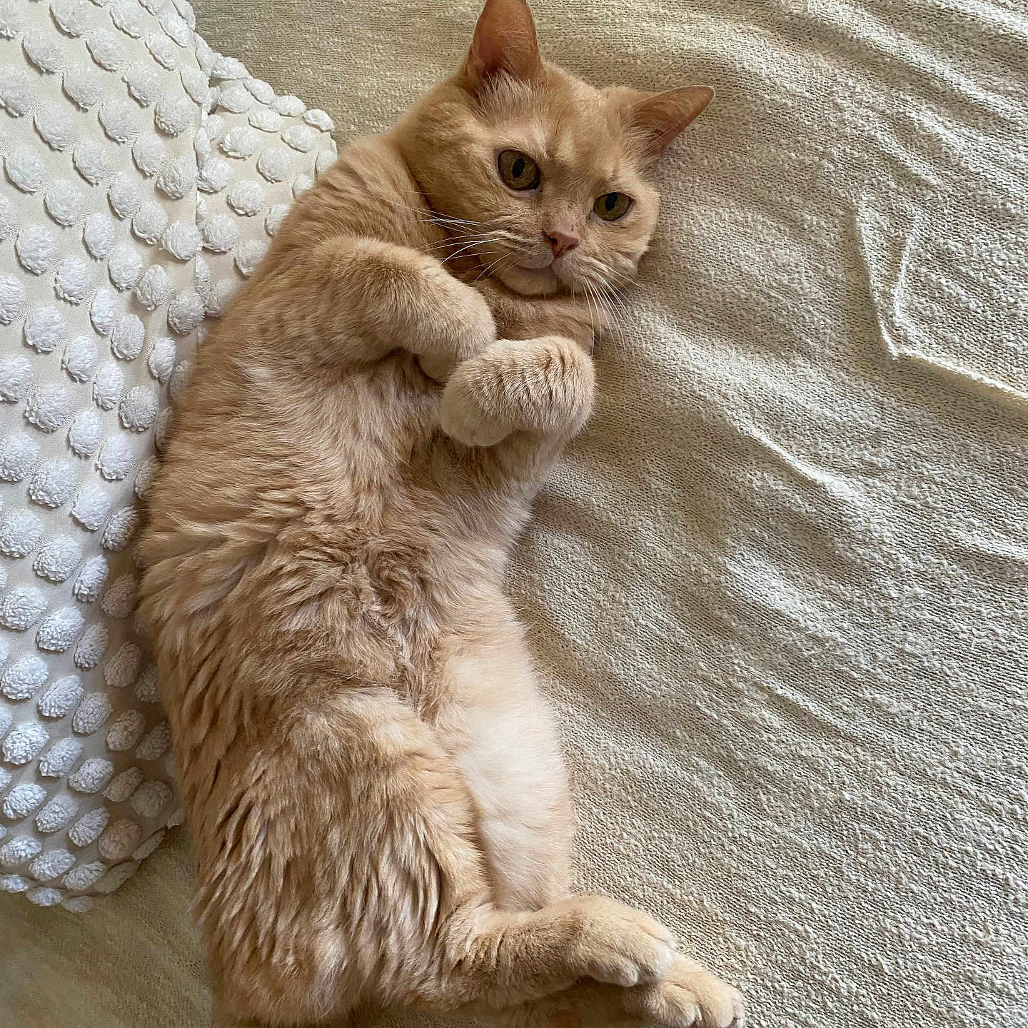 Léo