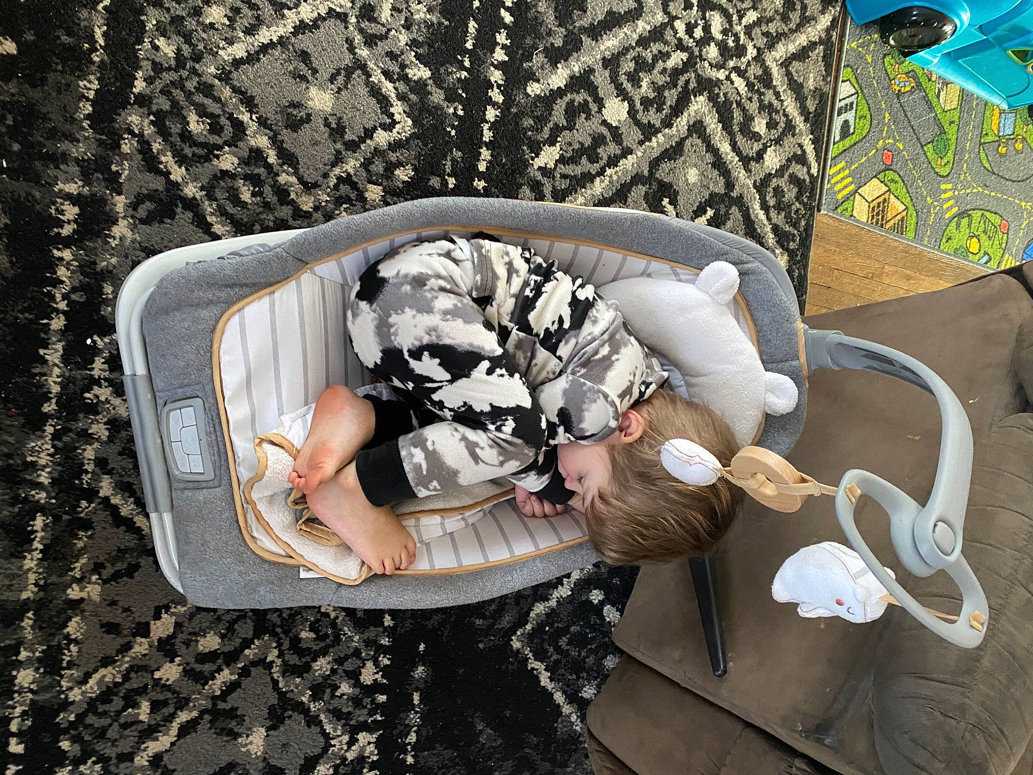 Willy joined the competition — help win amazing prizes! bag, circle, comfort, couch, eyewear, fashion_accessory, grass, human_leg, leisure, linens, pattern, person, personal_protective_equipment, room, shoe, sitting, sneakers, sunglasses, thigh, tree