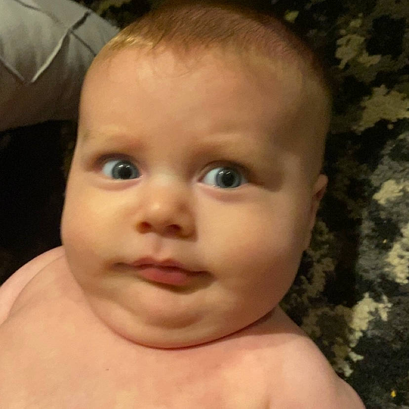 Waylon is registered to the contest to win money with this photo: arm, cheek, chest, ear, eye, eyebrow, eyelash, forehead, hair, hand, happy, human_body, iris, jaw, lip, mouth, neck, no_expression, nose, person