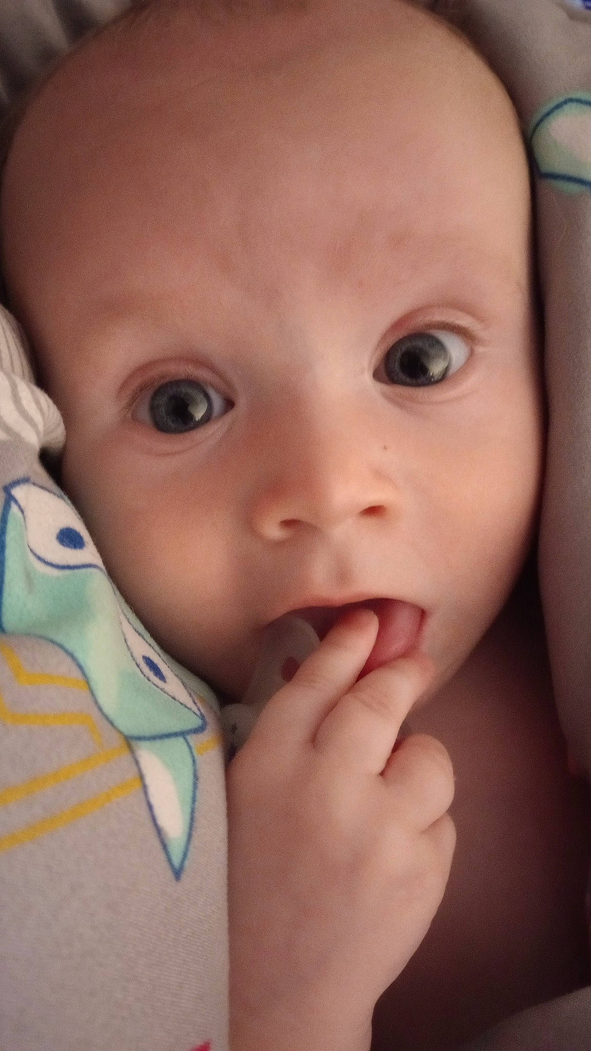 Archer joined the competition — help win amazing prizes! baby, cheek, chin, ear, eye, eyebrow, eyelash, face, facial_expression, finger, gesture, hand, head, iris, lip, mammal, mouth, nose, person, skin