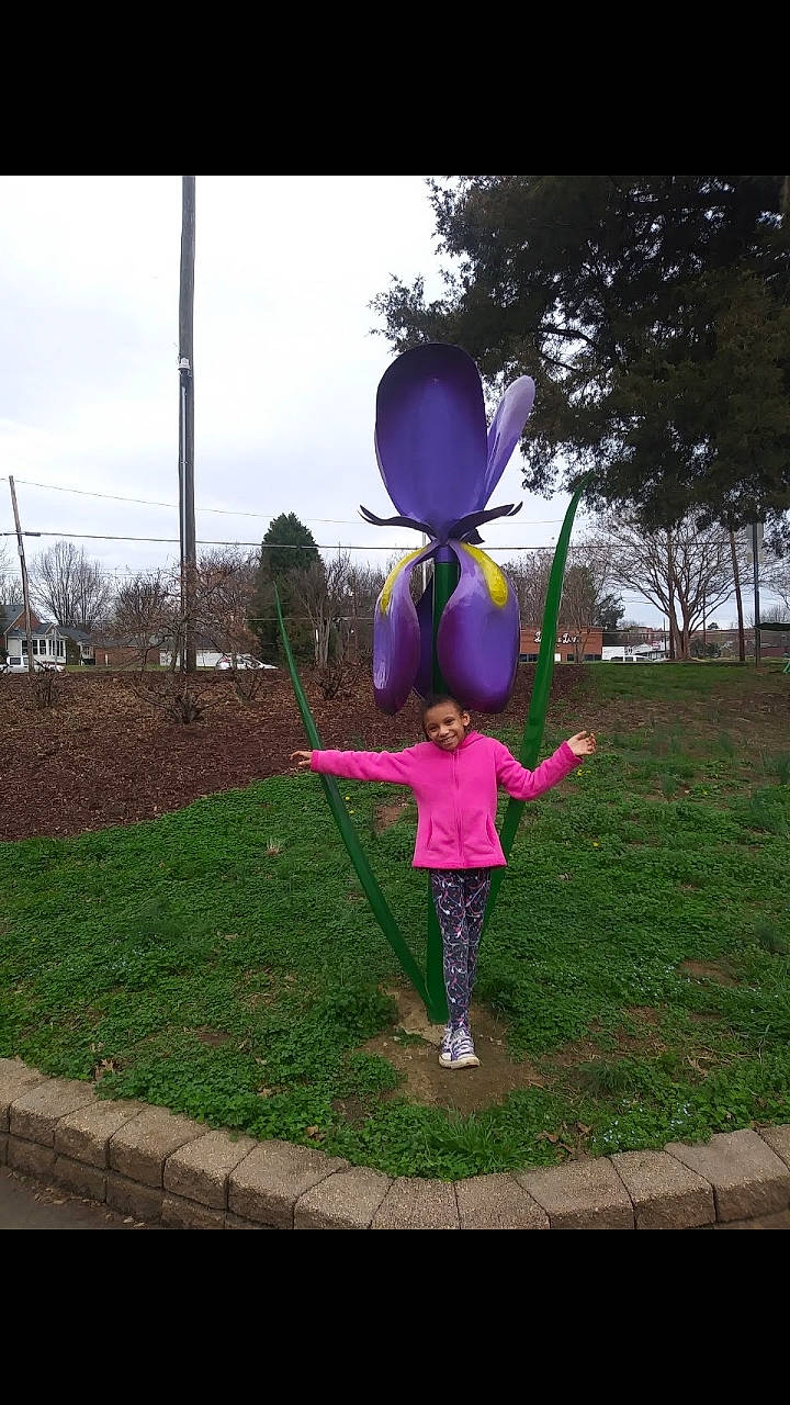 Saniyah joined the competition — help win amazing prizes! blue, child, fun, grass, green, joy, person, pink, plant, play, purple, recreation, tree, vacation, world