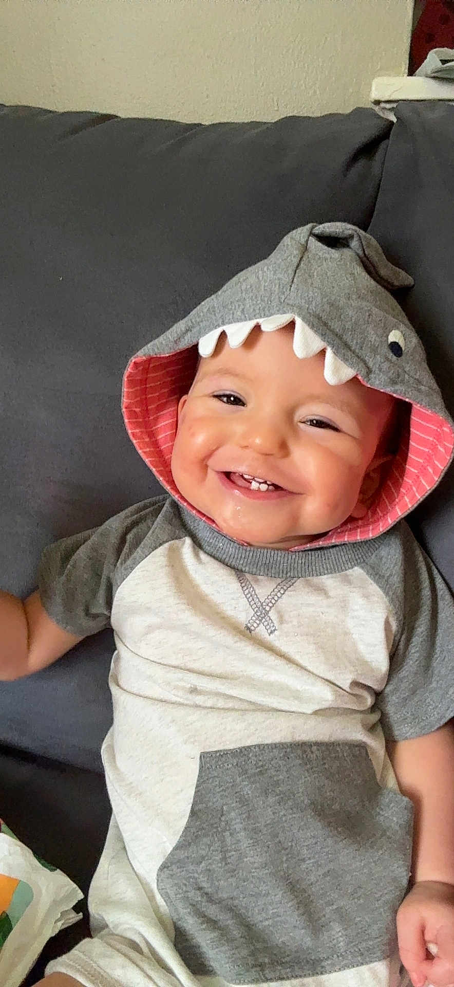 Donovan joined the competition — help win amazing prizes! baby, child, smiling, hoodie, shark_hood, teeth, couch, gray, clothing, infant, cute, happy, portrait, sitting, indoors, face, apparel, young_child, playful, casual