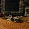 cat, calico_cat, wooden_floor, fireplace, stone_wall, home_decor, star_decor, rug, indoor, pet, relaxed, flooring, furniture, living_room, cozy, animal, mammal, resting, domestic_cat, quiet
