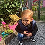 child, boy, outdoor, garden, flowers, gravel, sneakers, vest, jeans, greenery, fence, butterfly, plants, daylight, cute, casual_clothing, nature, small_child, playful, sunlight