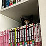 animal, books, bookshelf, calico, cat, collection, colorful, curious, eyes, feline, home, indoor, literature, manga, peeking, pet, quiet, reading, shelf, stack