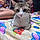 Marshmellow