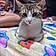 Marshmellow