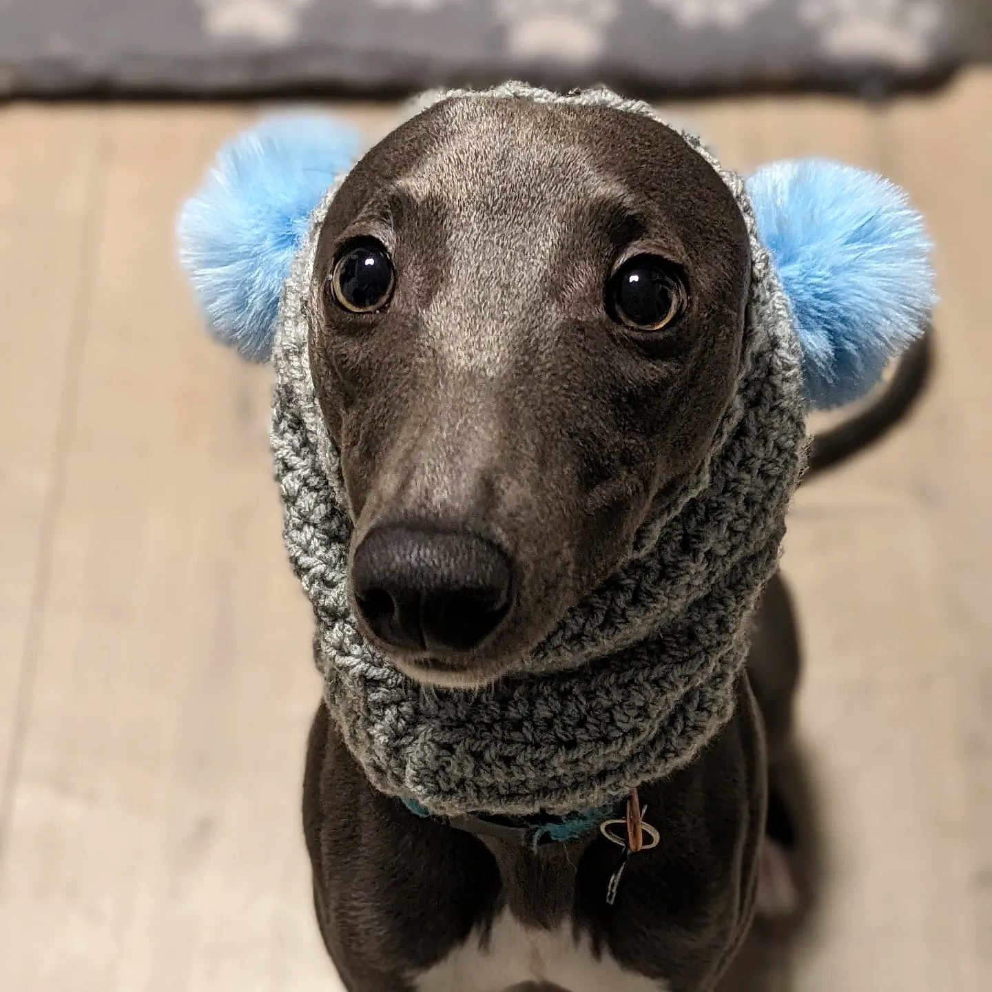 Peanut