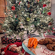 Oakley is registered to the contest to win money with this photo: baby, christmas_tree, ornaments, cookies, carrots, plate, sleeping, santa_hat, holiday, gift_wrap, blanket, indoor, festive, pacifier, decorations, lights, floor, wooden_cabinet, celebration, cozy