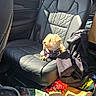 dog, small_dog, car_seat, black_leather, sunlight, jacket, snack_bags, paper_bags, car_interior, window, seatbelt, pet, travel, road_trip, daylight, fabric, leisure, comfort, puppy, fur