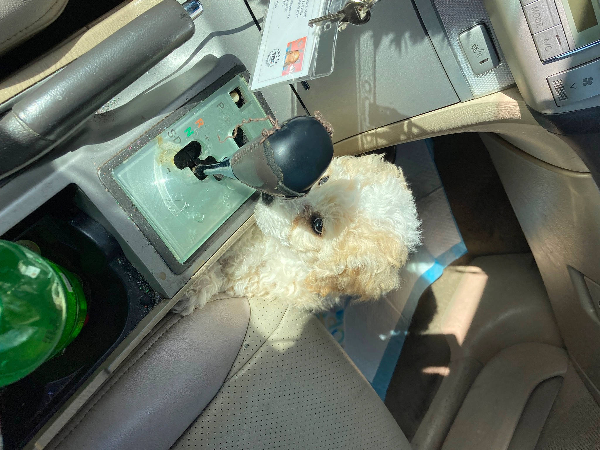 Prince Harry is registered to the contest to win money with this photo: airline, art, auto_part, automotive_design, automotive_exterior, automotive_window_part, car_seat, car_seat_cover, gas, glass, head_restraint, machine, motor_vehicle, personal_luxury_car, transport, vehicle, vehicle_door, windshield