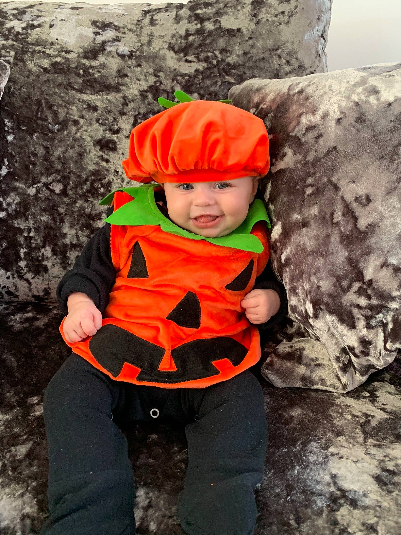 Skye joined the competition — help win amazing prizes! adventure, child, costume, fun, headgear, joy, lifejacket, person, personal_protective_equipment, recreation, rock_climbing_equipment, toddler
