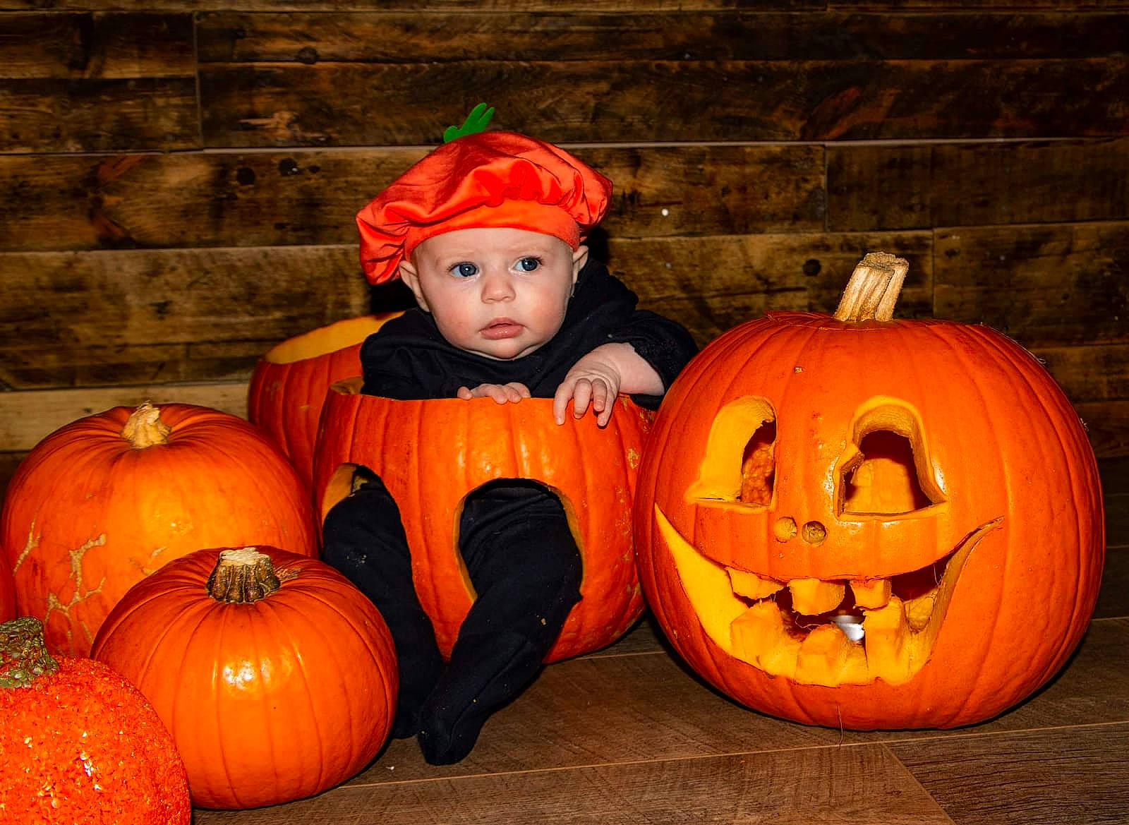 Skye is registered to the contest to win money with this photo: calabaza, carving, cucumber_gourd_and_melon_family, cucurbita, gourd, halloween, headwear, jack_o_lantern, person, pumpkin, squash, vegetable, winter_squash