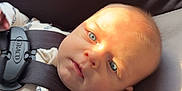 Spencer joined the competition — help win amazing prizes! baby, car_seat, infant, blue_eyes, sunlight, seatbelt, clothing, child, indoors, safety, infant_car_seat, cute, portrait, young_child, straps, seat, baby_clothes, small_child, head, face