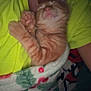 kitten, cat, sleeping, orange_tabby, person, yellow_shirt, blanket, holly_pattern, cozy, snuggling, cute, paw, indoor, resting, soft, warm, comfort, closeup, animal, pet