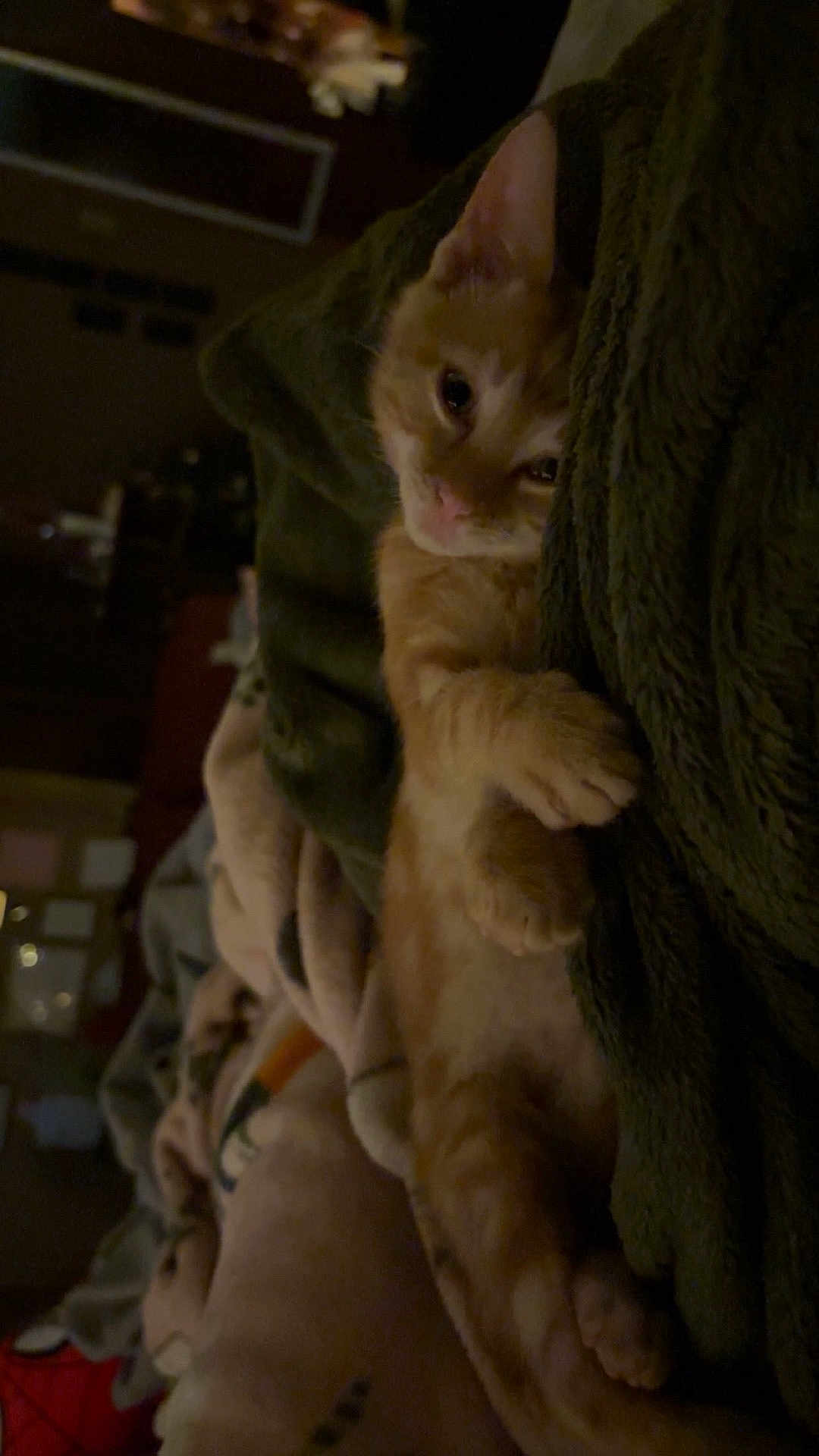 Milo