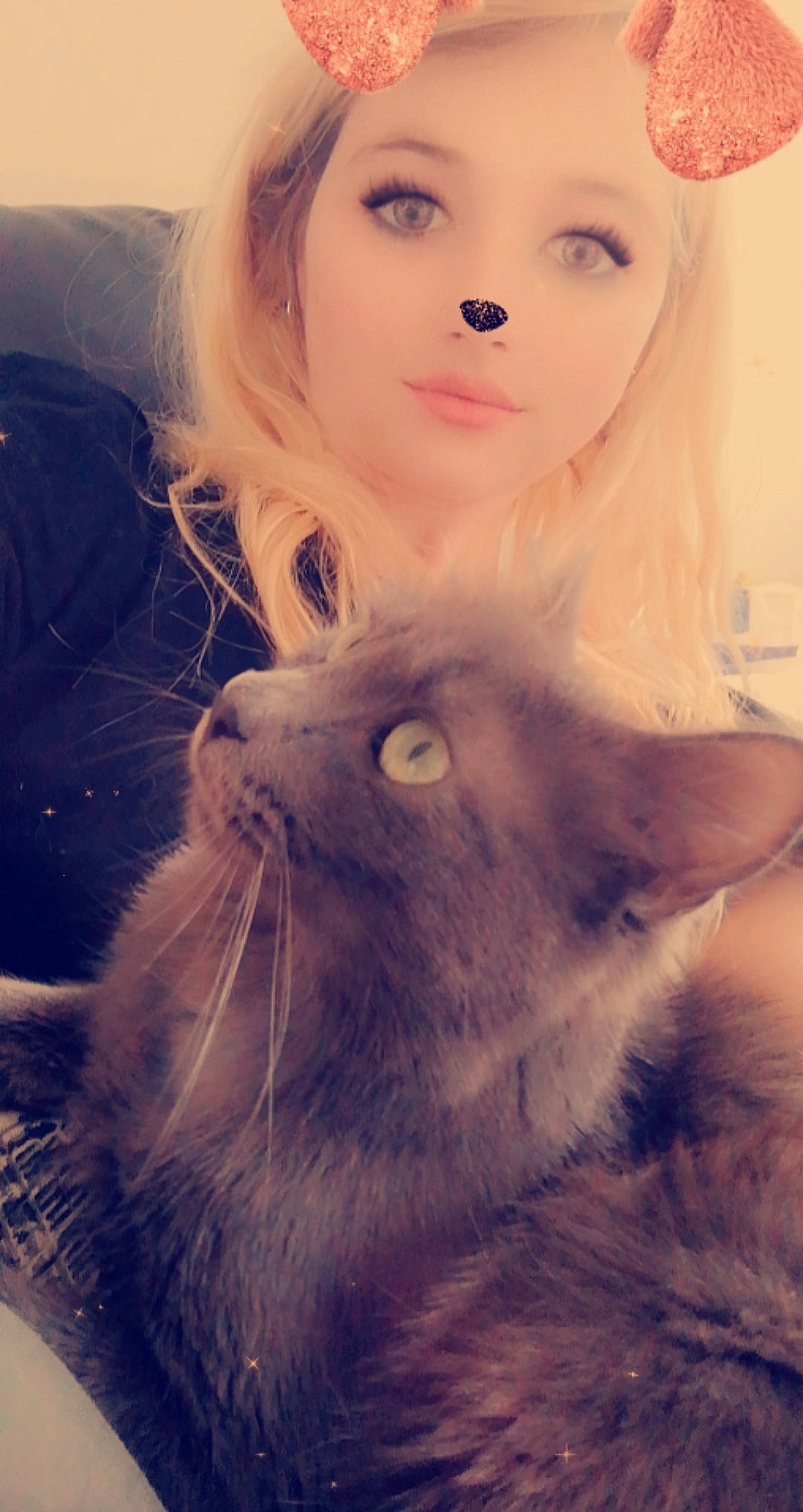 Chuan participe au concours pour gagner de l'argent avec cette photo : british_longhair, cat, ear, eye, fawn, felidae, fur, lip, long_hair, mouth, nose, person, photography, skin, small_to_medium_sized_cats, whiskers