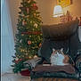 cat, chair, blanket, christmas_tree, indoor, decorations, lights, lamp, holiday, furniture, cozy, pet, relaxing, living_room, floor_tiles, curtains, painting, ornaments, red_tinsel, calm