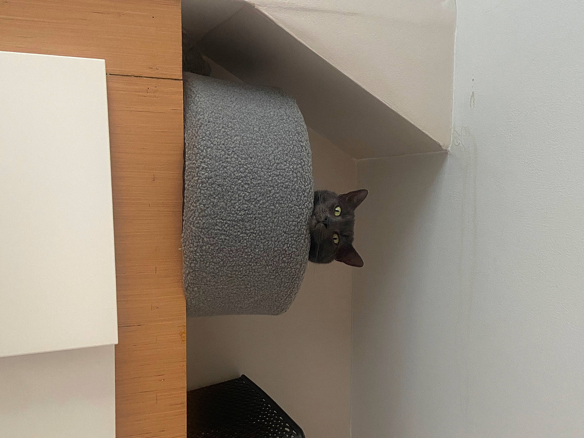 George is registered to the contest to win money with this photo: aluminium, art, ceiling, composite_material, door, fixture, flooring, grey, hardwood, metal, paper_product, pattern, plaster, plywood, rectangle, room, shelf, shelving, wall, wood