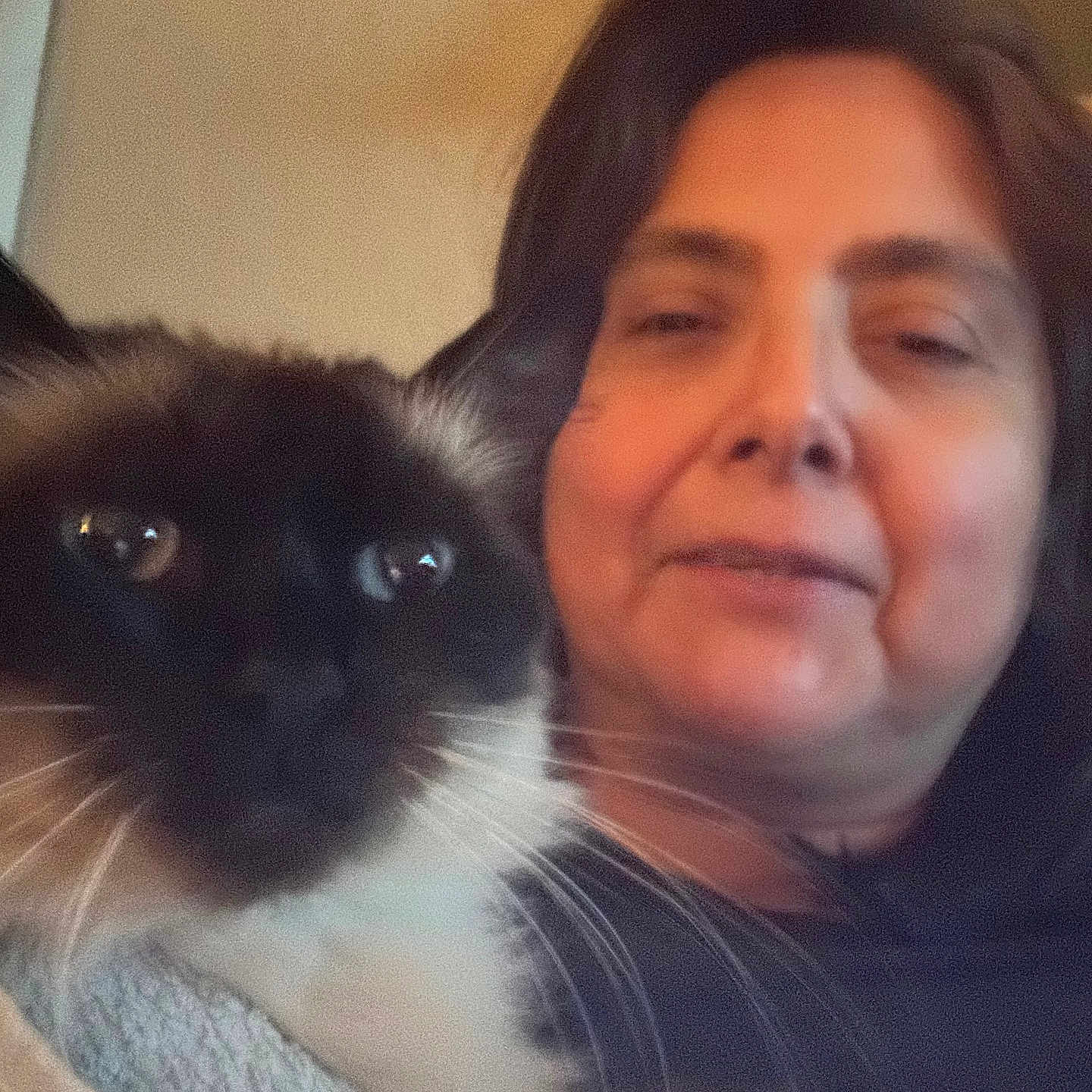 Fuchitacloudy joined the competition — help win amazing prizes! woman, cat, indoor, portrait, pet, face, closeup, cozy, furry, relaxed, smile, hair, whiskers, animal, person, warm_lighting, casual, friendship, companionship, candid