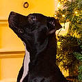 Rita C.