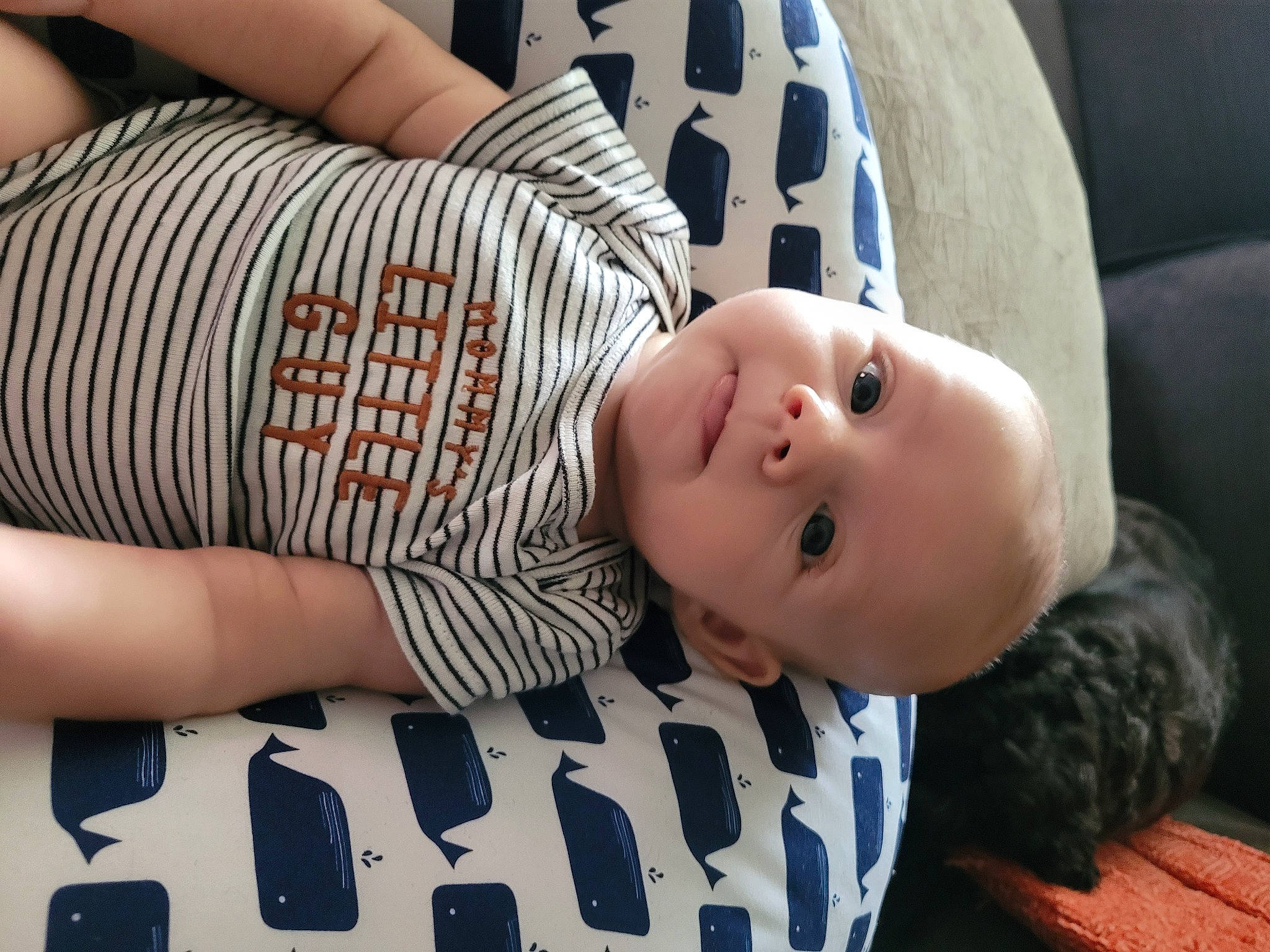 Preston is registered to the contest to win money with this photo: baby, baby_toddler_clothing, child, comfort, elbow, finger, human_body, human_leg, joint, mouth, organ, pattern, person, sitting, skin, sleeve, textile, thigh, toddler, tree