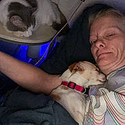 Babyboy joined the competition — help win amazing prizes! person, dog, cat, indoor, bedroom, blanket, sleeping, pet, resting, table, collar, couch, cozy, relaxed, human, animal, face, arm, clothing, snuggling