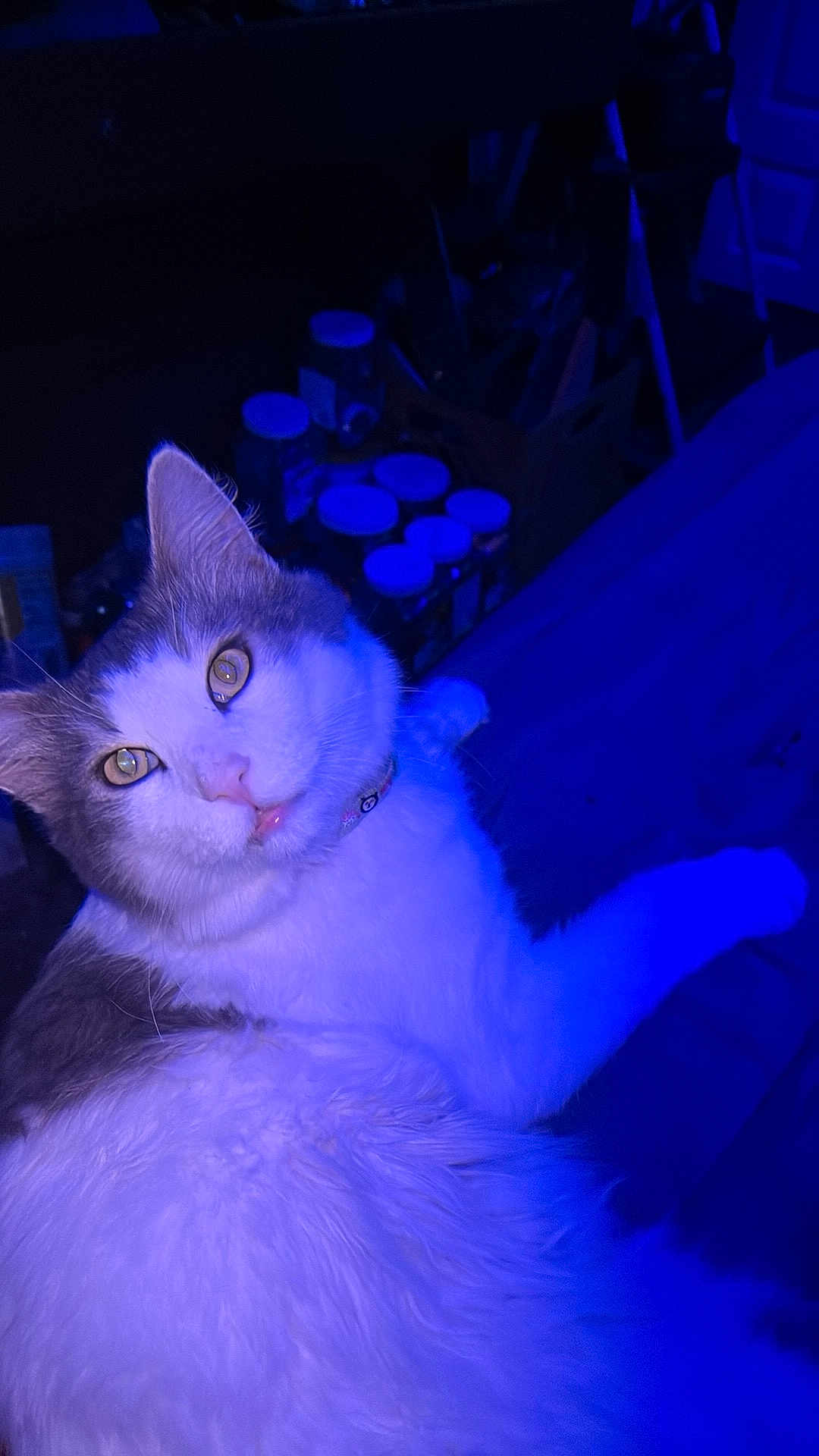 Babyboy
