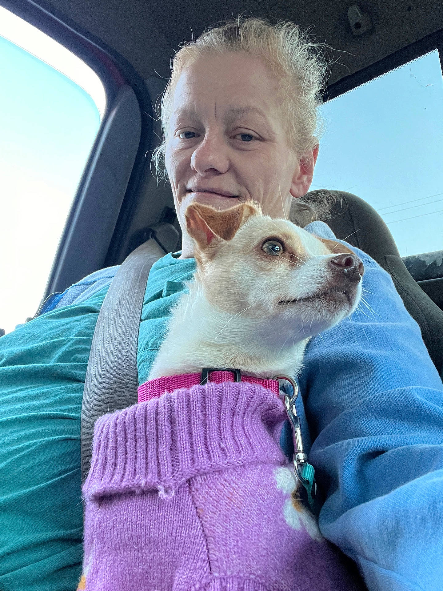 animal, car, casual_clothing, closeup, companionship, daylight, dog, head, human, indoor, leash, pet, portrait, purple_sweater, seat, seatbelt, small_dog, smile, window, woman
