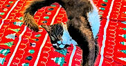 Lil Beans joined the competition — help win amazing prizes! cat, black_and_white, stretching, paw, blanket, red, christmas_theme, holiday, patterned_blanket, indoor, feline, playful, pet, fur, whiskers, cozy, soft_texture, toy, curled_tail, relaxed