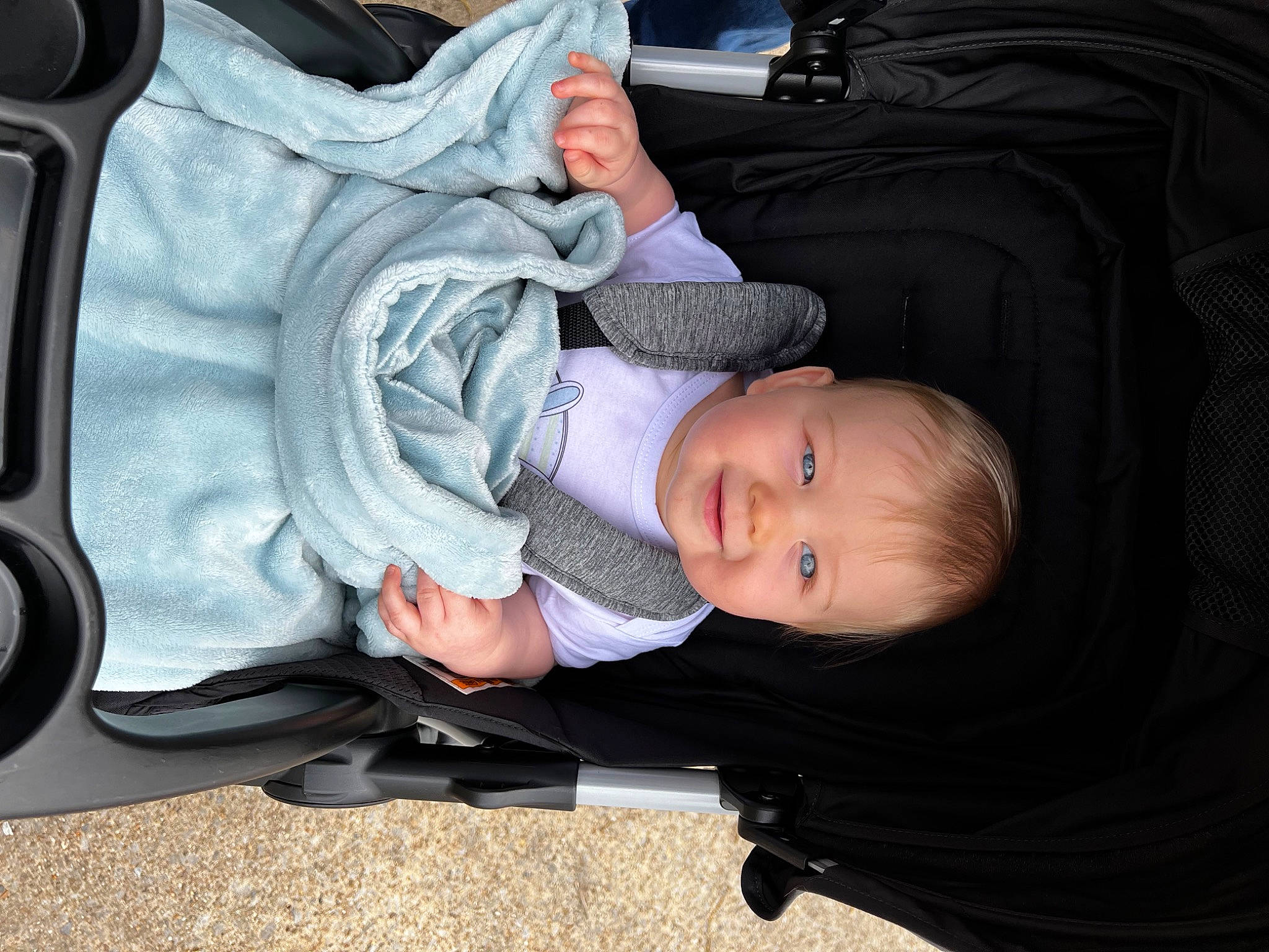 Archie joined the competition — help win amazing prizes! auto_part, baby, baby_carriage, baby_in_car_seat, baby_products, baby_safety, baby_toddler_clothing, car_seat, cheek, child, comfort, joy, lap, nap, outerwear, person, sitting, smile, toddler, tree