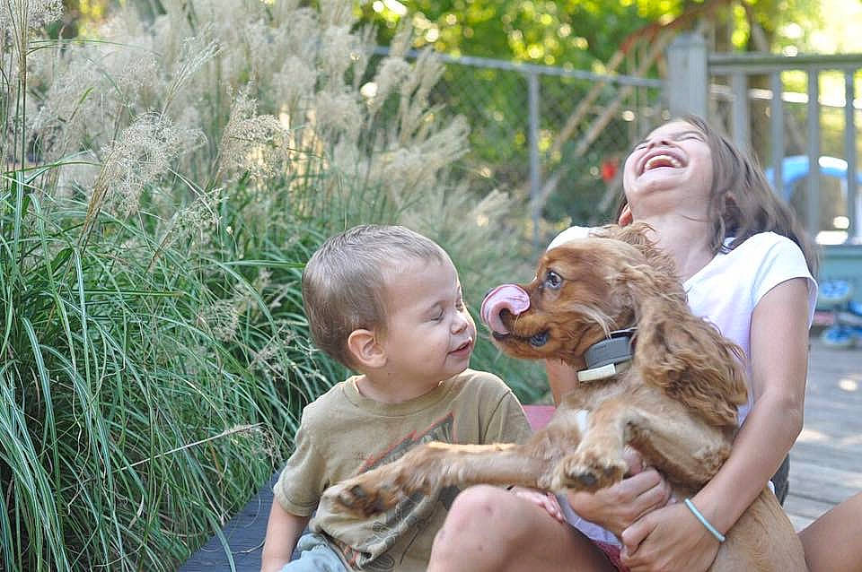 Henley is registered to the contest to win money with this photo: child, dog, dog_like_mammal, fun, girl, grass, infant, mammal, people, person, plant, play, smile, toddler, tree, vertebrate