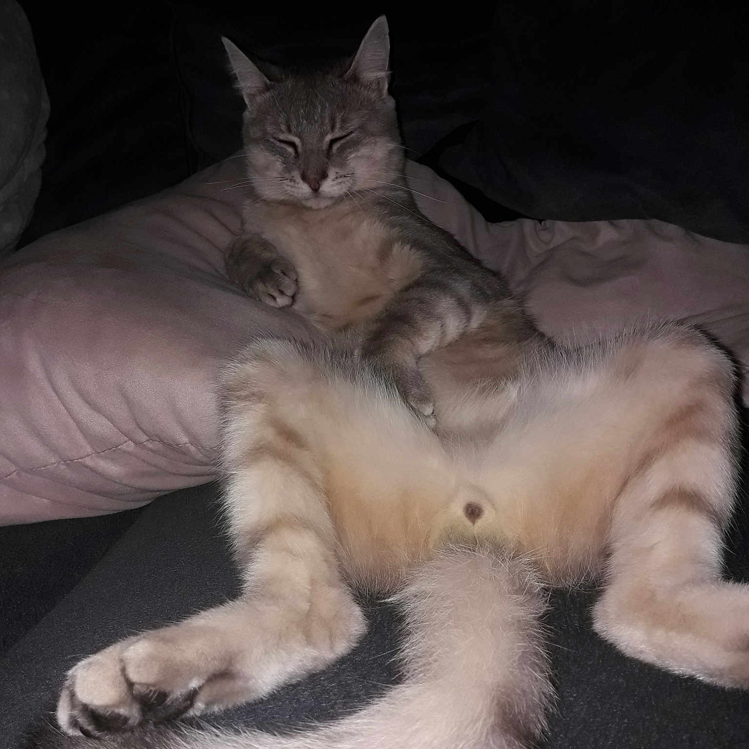 Mojito