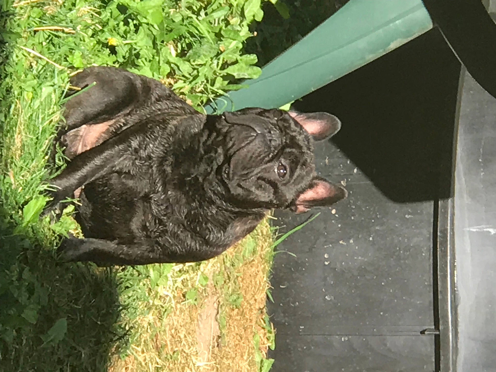 Onyx