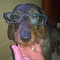 Milou D.